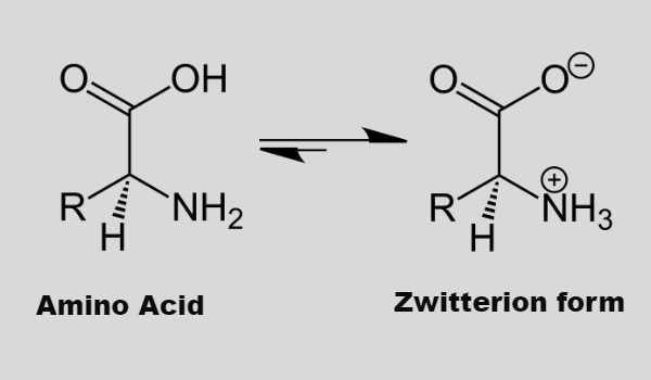 Zwitterionic form of amino acids