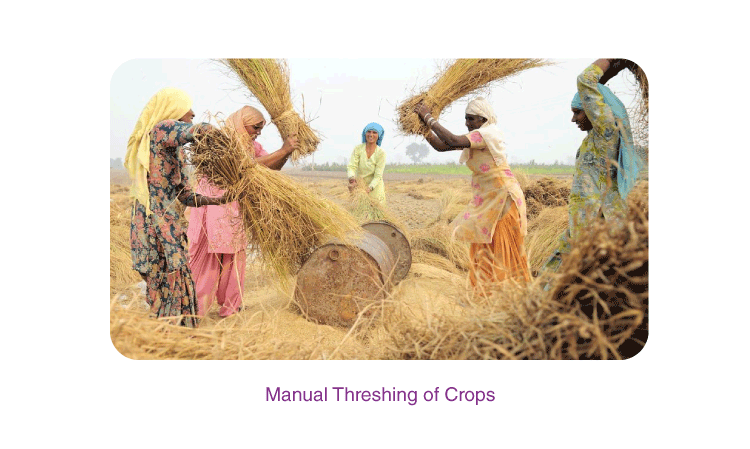 Crop Production and Management 5