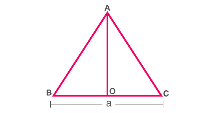 Heron S Formula Class 9 Notes Chapter 12 Notes