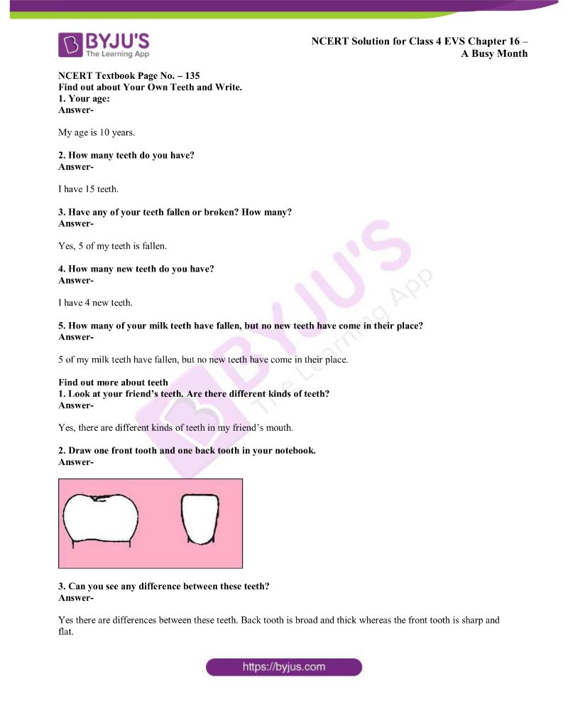 NCERT Solutions Class 4 EVS Chapter 16 a Busy Month Free PDF Download