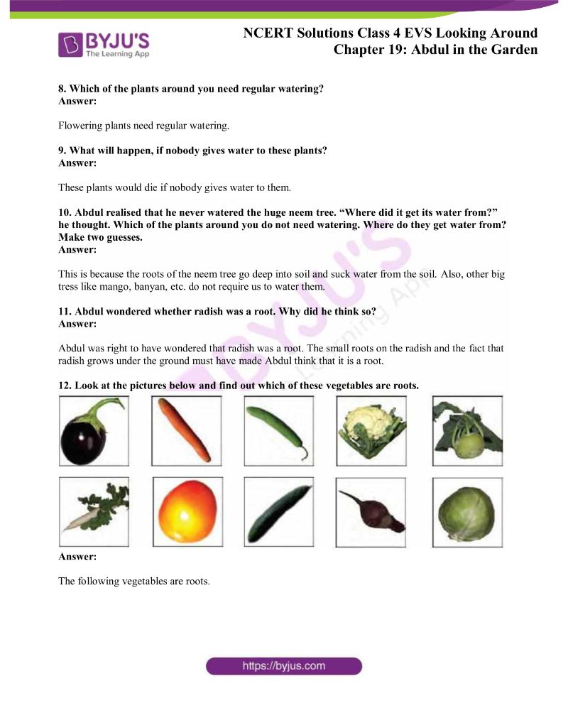 NCERT Solutions Class 4 EVS Chapter 19 Abdul in the Garden Click Here