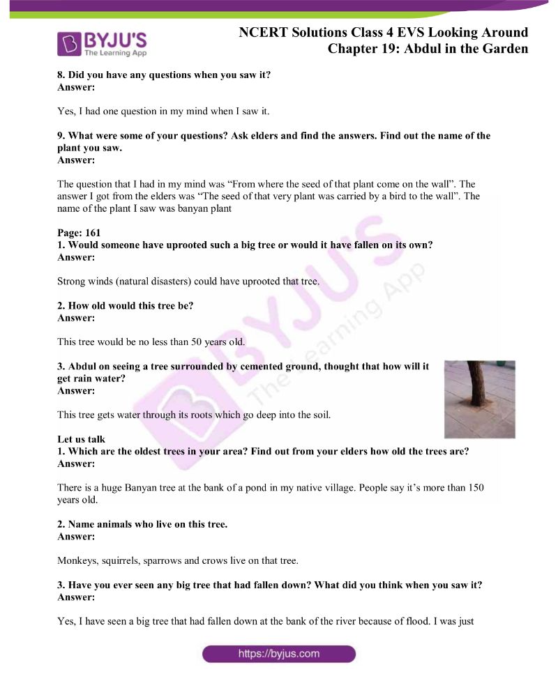 NCERT Solutions Class 4 EVS Chapter 19 Abdul in the Garden Click Here