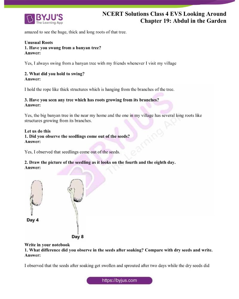 NCERT Solutions Class 4 EVS Chapter 19 Abdul in the Garden Click Here