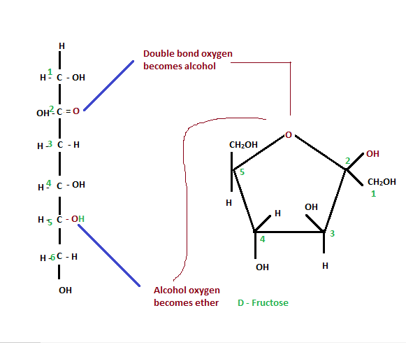 beta d fructose vs alpha d fructose