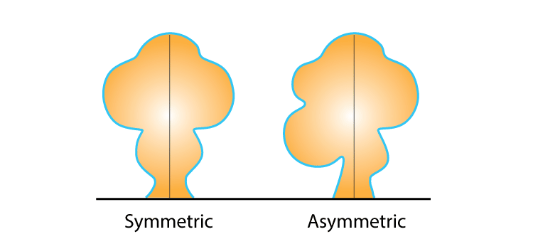 cbse-symmetry-class-6-notes-chapter-13-maths-symmetry-in-maths-for