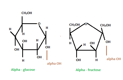 fructose linear structure