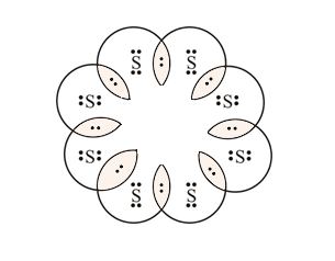 ncert solution class 10 science chapter 4-2