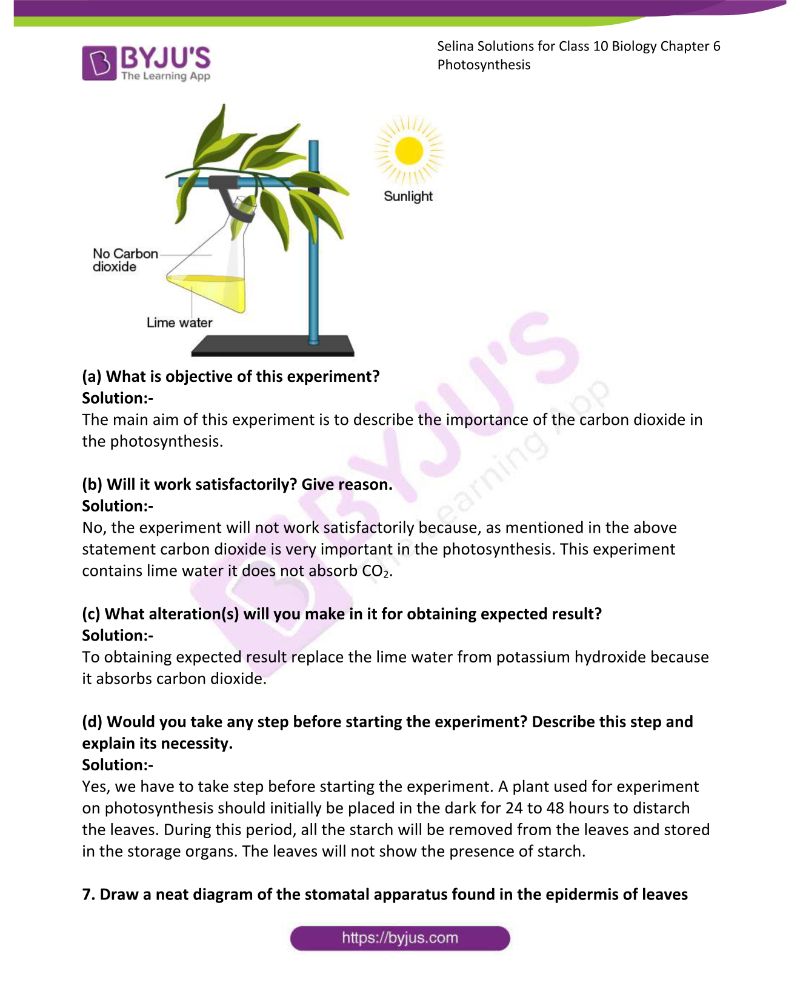 Selina Solutions Concise Biology Class 10 Chapter 6 Photosynthesis 