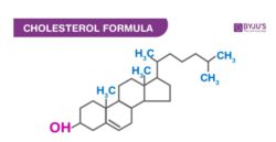 Structure Of Cholesterol