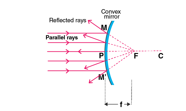 Lakhmir Singh Solutions Class 10 Physics Chapter 4 Reflection of Light-10