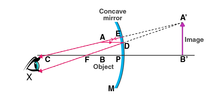 Lakhmir Singh Solutions Class 10 Physics Chapter 4 Reflection of Light-20