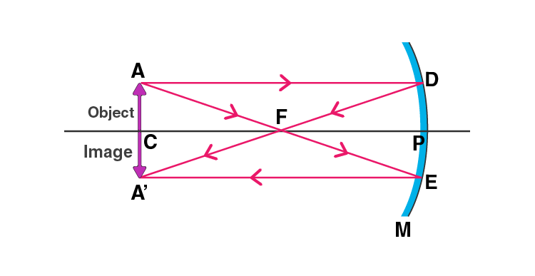 Lakhmir Singh Solutions Class 10 Physics Chapter 4 Reflection of Light-23