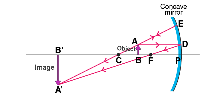Lakhmir Singh Solutions Class 10 Physics Chapter 4 Reflection of Light-29