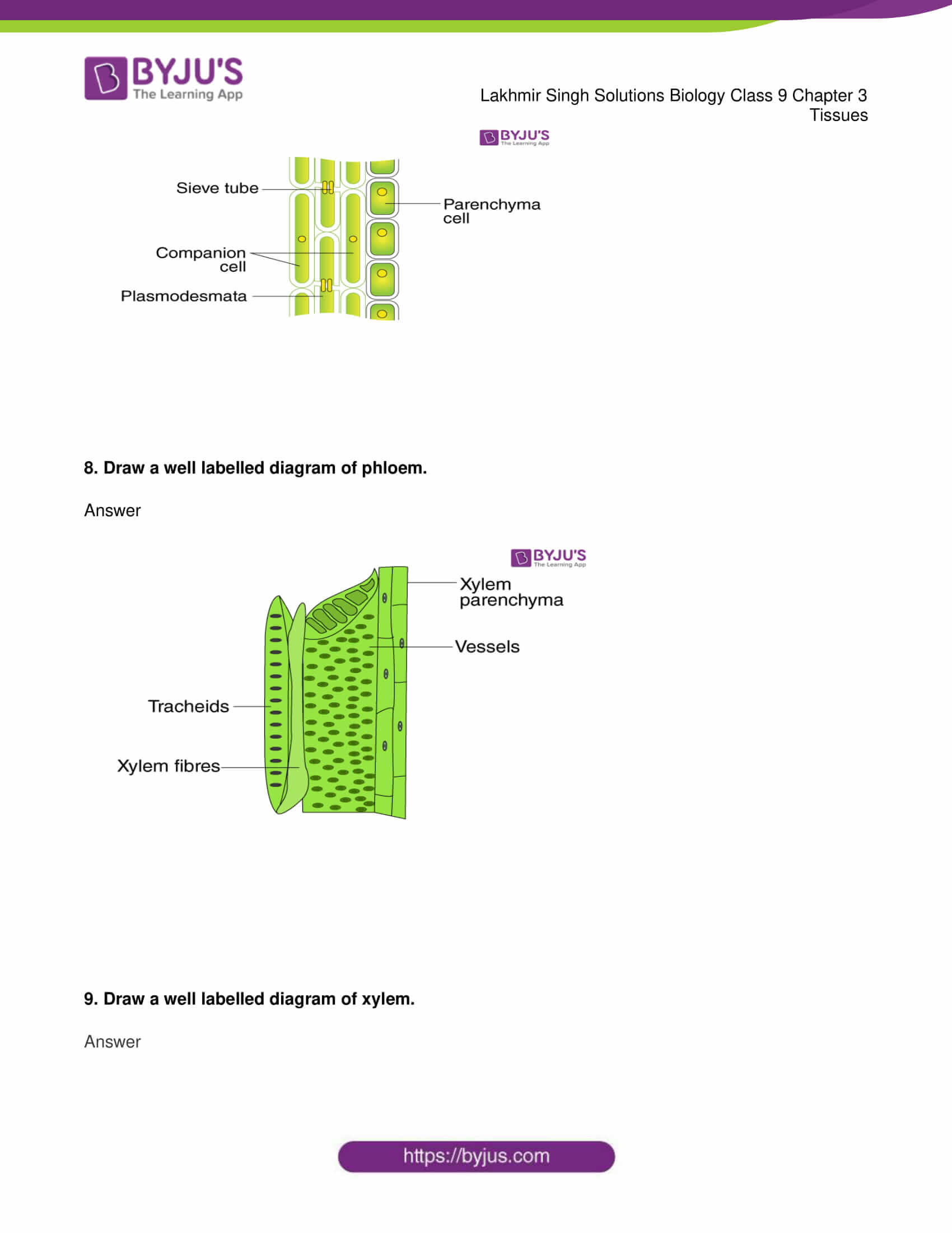 lakhmir singh solutions class 9 biology chapter 3 3