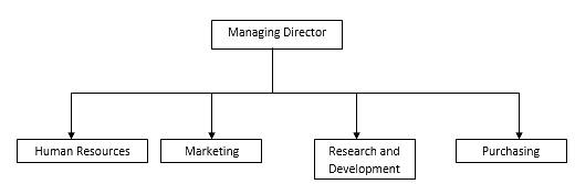 Organisational Structure Class 12 Notes Business Studies