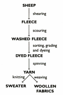 Wool Fibre - Definition, Properties, Extraction from Animals with Videos