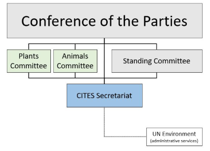 CITES - Structure of CITES