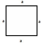 The perimeter of Square and Rectangle