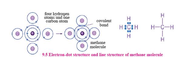 msbshse class 10 Science part 1 Chapter 9 Question 7 Solution