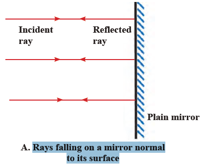 MSBSHSE Class 9 Science Chapter 11 Question 14 Solution MSBSHSE Class 9 Science Chapter 11 Question 14 Solution