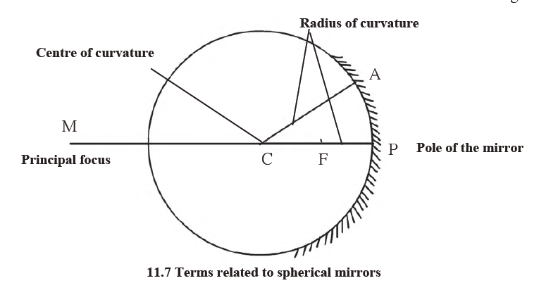 MSBSHSE Class 9 Science Chapter 11 Question 19 Solution  MSBSHSE Class 9 Science Chapter 11 Question 19 Solution
