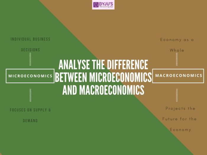 Difference between Microeconomics and Macroeconomics - UPSC Economics