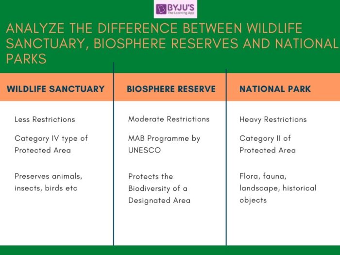Difference Between Wildlife Sanctuary Biosphere Reserves And National 
