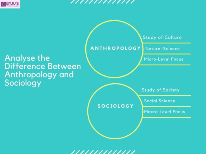 Difference Between Anthropology And Sociology With Their Comparisons