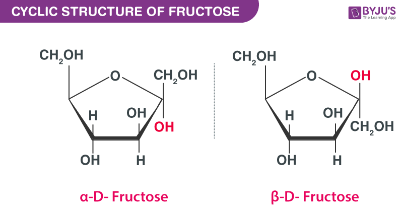 Cyclic Structure of Fructose