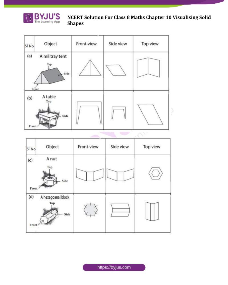 ncert solutions for class 8 maths exercise 101 chapter 10 visualizing