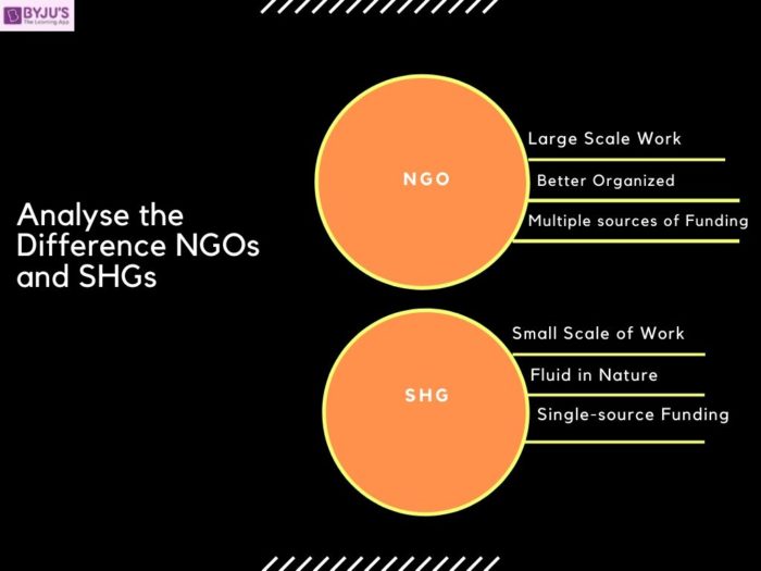 Difference Between Ngos And Shgs With Their Comparisons