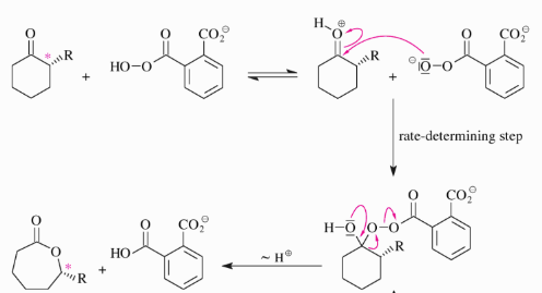 Baeyer-Villiger Oxidation