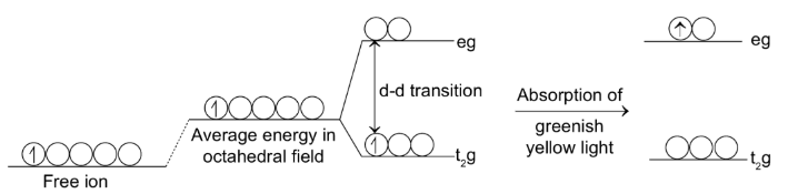 Coloured Compounds Formation