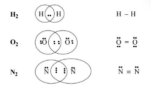 Covalent Bond