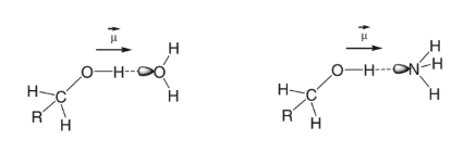 Hydrogen Bond