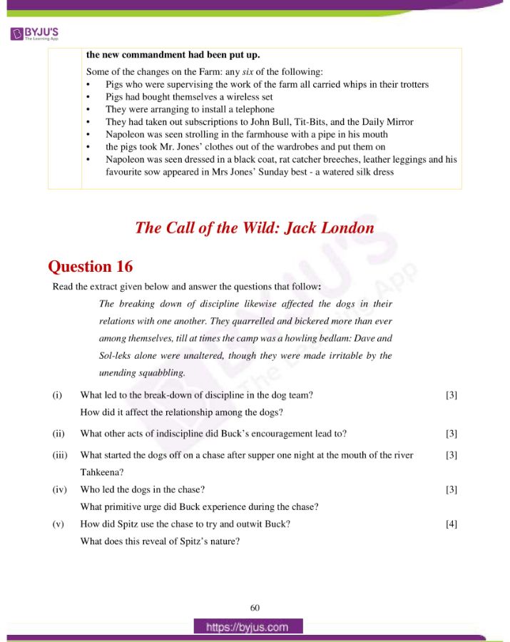 english literature grade 10 essay type questions and answers