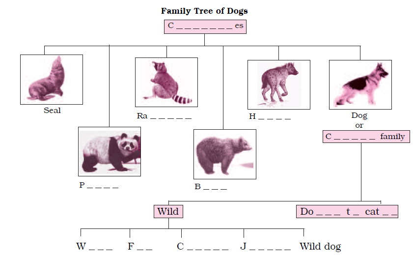 NCERT Solutions for Class 6 English Unit 2 How the Dog Found Himself a