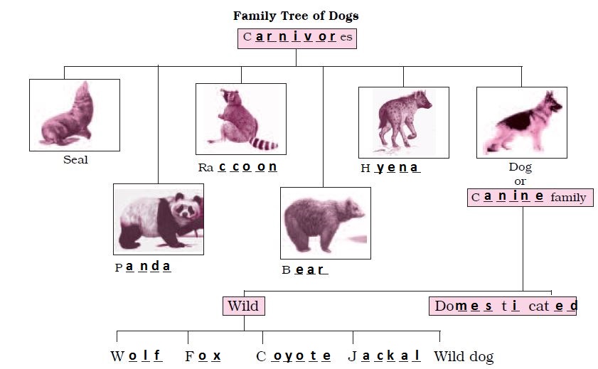 NCERT Solutions for Class 6 English Unit 2 How the Dog Found