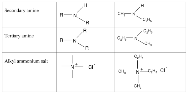 Nomenclature of Amine