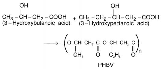 Poly beta hydroxybutyrate-co-beta-hydroxyvalerate - PHBV