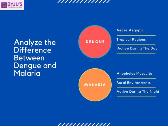 Difference Between Dengue and Malaria - UPSC 2020