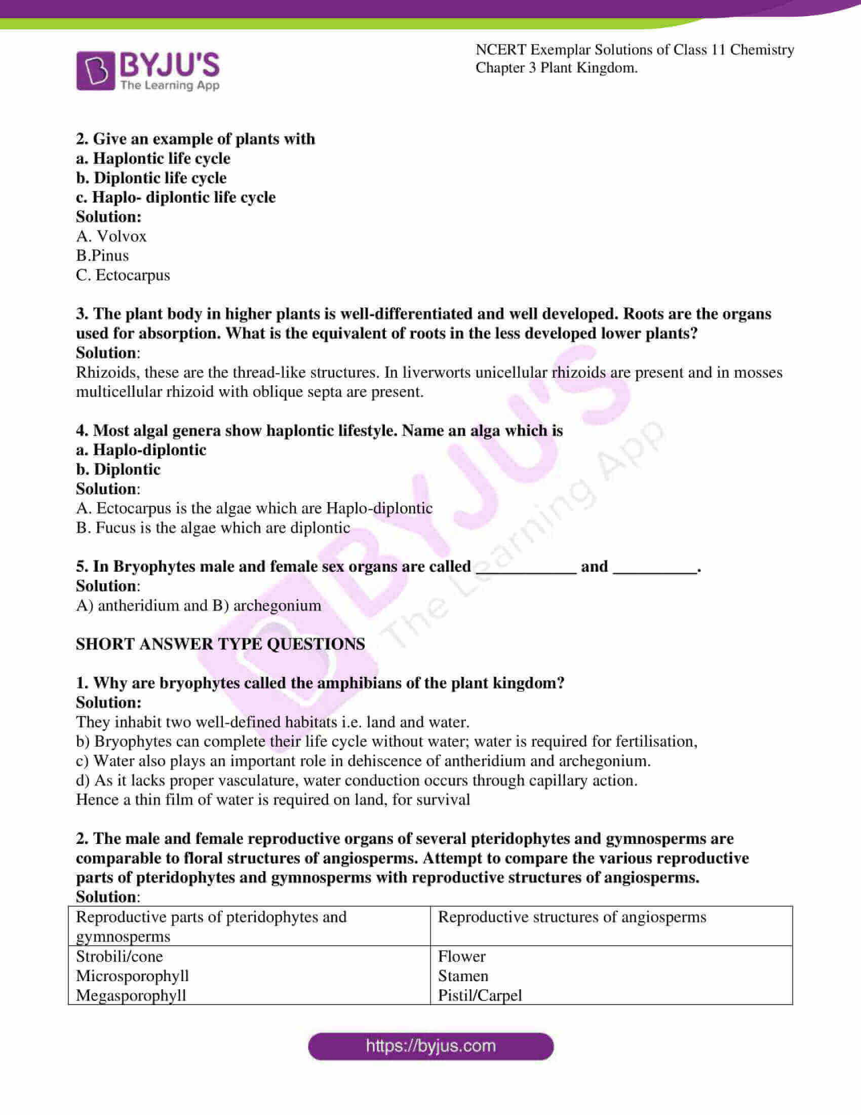 case study questions class 11 biology chapter 3