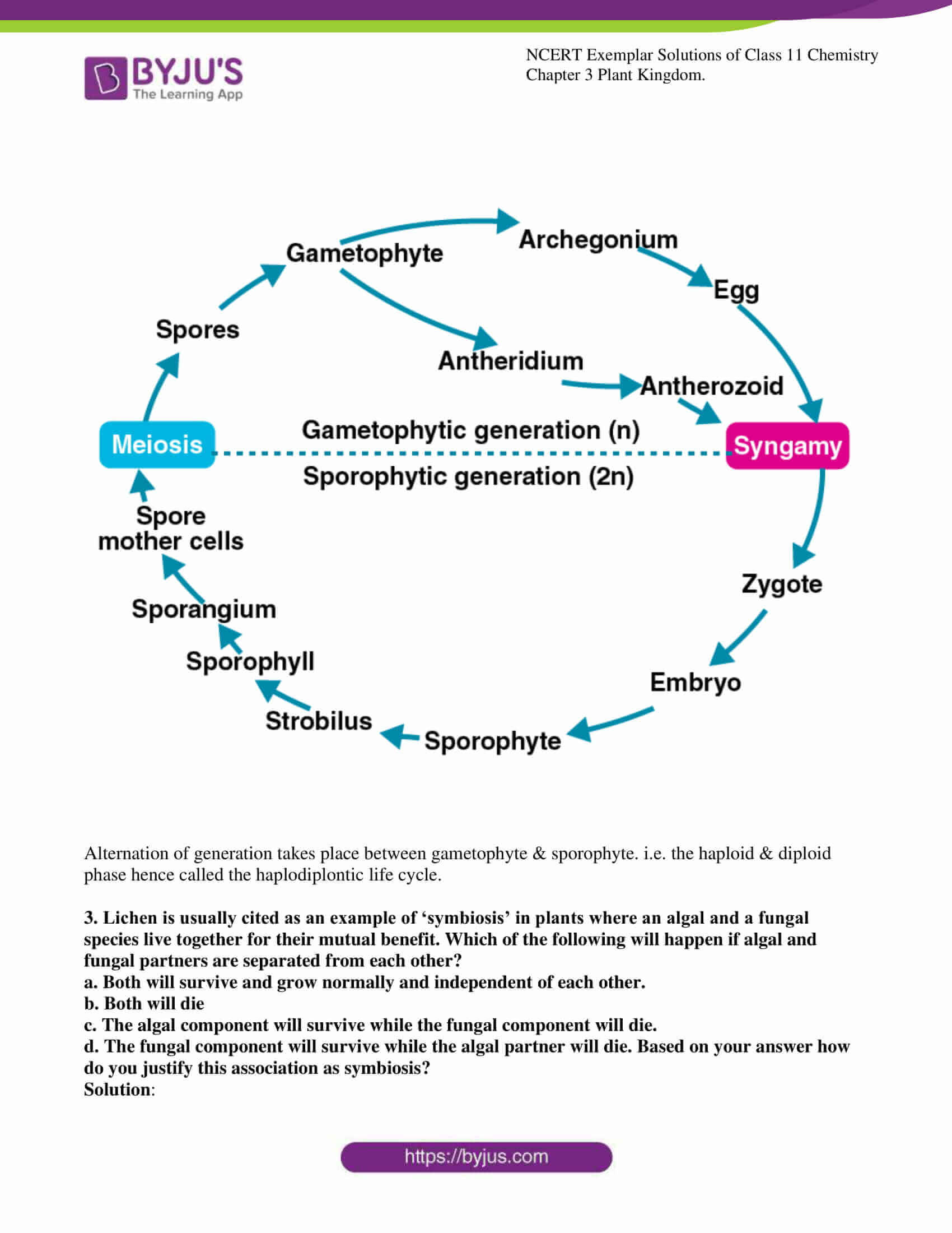 ncert exemplar solutions for class 11 bio chapter 3 6