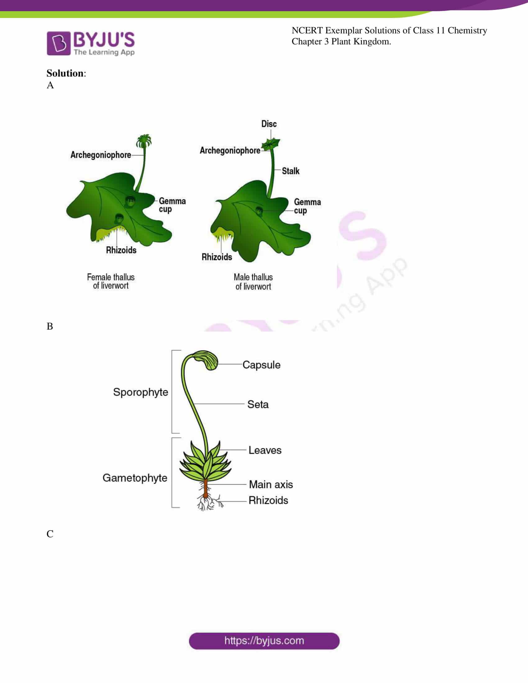 ncert exemplar solutions for class 11 bio chapter 3 8