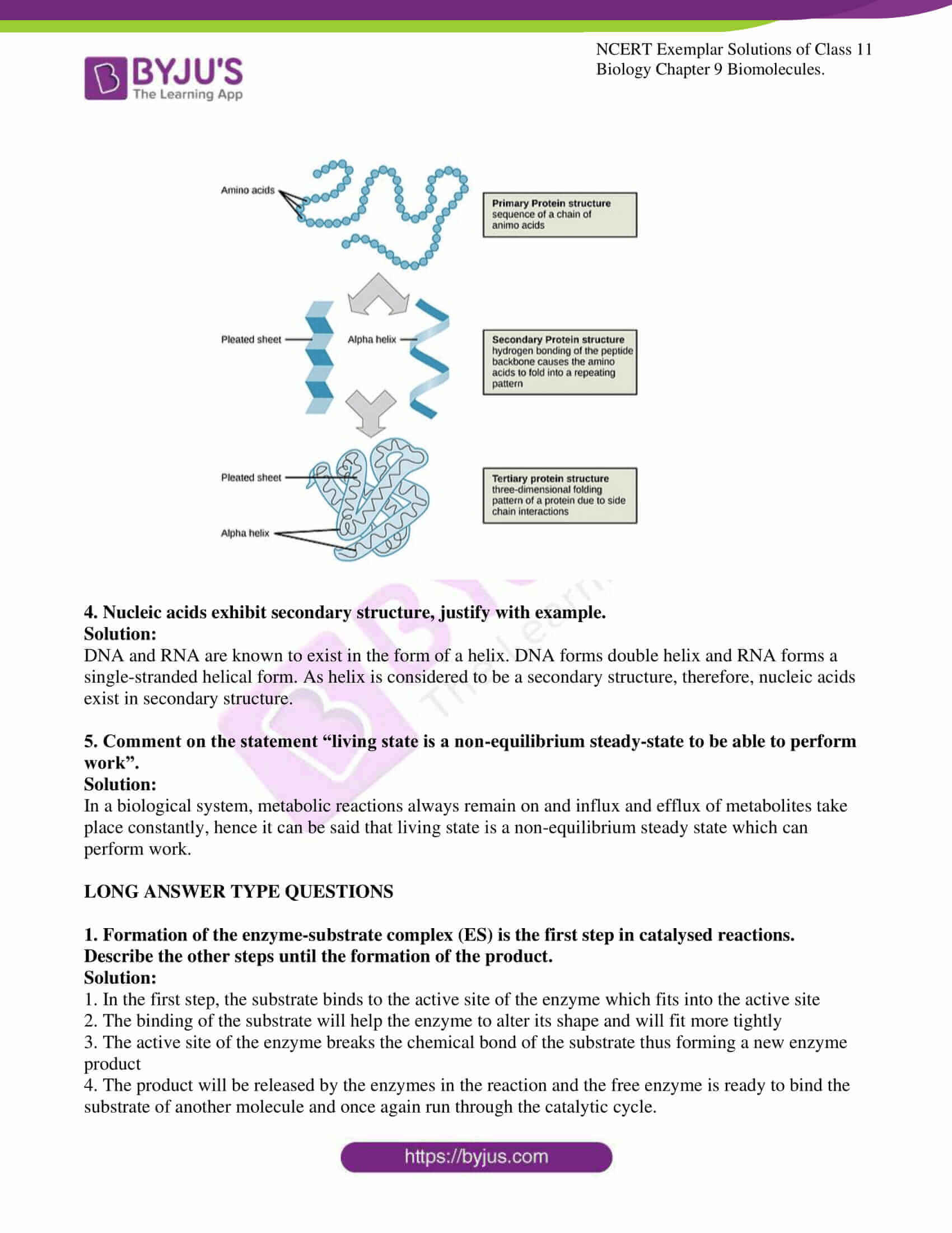 ncert exemplar solutions for class 11 bio chapter 9 7