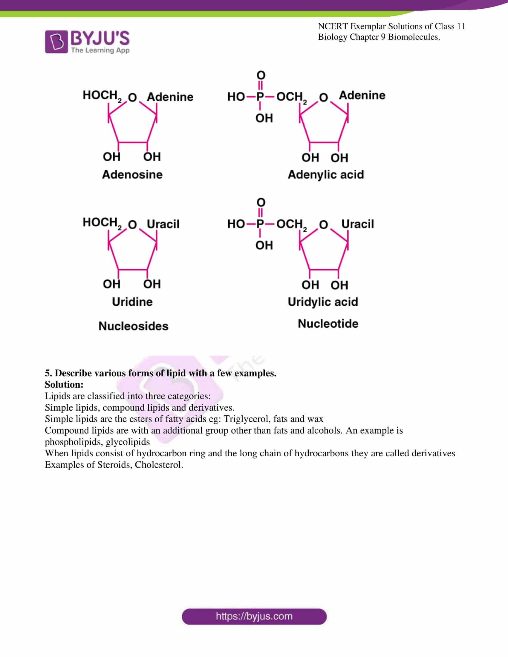 ncert exemplar solutions for class 11 bio chapter 9 9