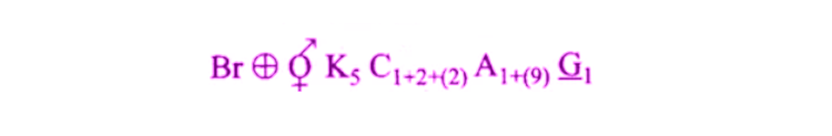 NCERT Exemplar Solutions of Class 11 Biology Chapter 5 Morphology of Flowering Plants-3