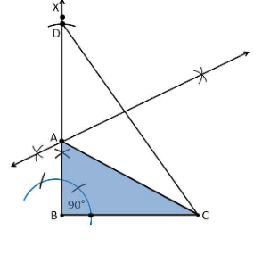 Ncert solutions class 9 chapter 11-17