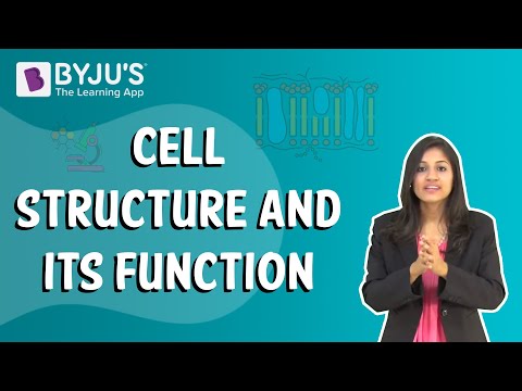 grade 8 cells assignment