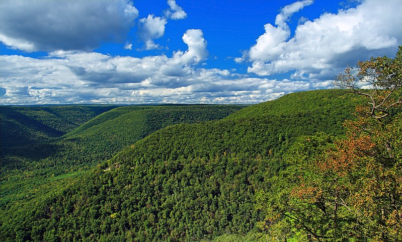 Plateaus Definition, Types, Formation, Indian Peninsular